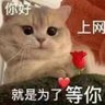 午夜骑手's profile picture