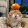 Profilbild von Dave