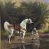 abd'elmoumen 的头像