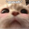 ari's profile picture