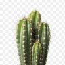 ParciVaL's profile picture