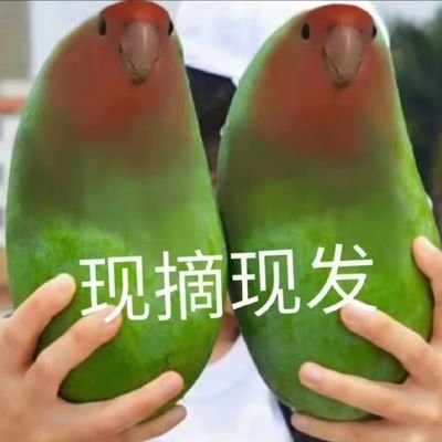 chixiao_dom's profile picture