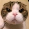 Profilbild von bry