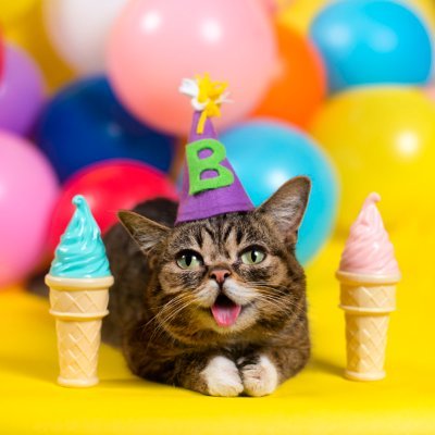 Lil BUB's profile picture