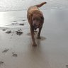 Karl's profile picture