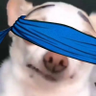 jobaba OwO's profile picture