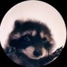 Profilbild von Lol