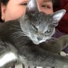 A.G's profile picture