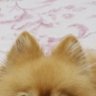 みわ profil fotoğrafı