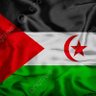 saif 🇪🇭♥️🇵🇸❤️🇲🇲 profil fotoğrafı