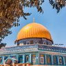 𝓐𝓵𝓲𝓪𝓪𓂆🇵🇸 的头像