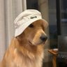 Profilbild von Dave