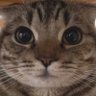 Fug's profile picture
