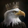 MOHMED ABAKER 🌟 profil fotoğrafı