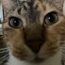 S1f profil fotoğrafı