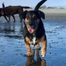 Bill Becker's profile picture