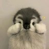 Profilbild von yyyzbzndl
