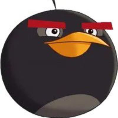 angrybi65287877's profile picture