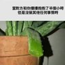 樂章 的头像