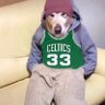 Nico🦍's profile picture