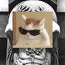 Catlas's profile picture