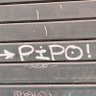 Pipo profil fotoğrafı