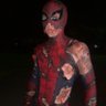 XapeH's profile picture