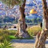 Фото профиля ثابت @ القدس الشريف