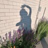 Flora Lan's profile picture