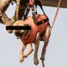Kacper 🐐 profil fotoğrafı