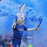 The Warrior Blue 的头像