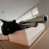 DJfiftysix profil fotoğrafı