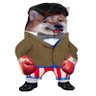 Fabio Ghironi's profile picture