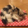 溢れビト 的头像