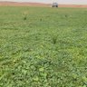 Фото профиля ابو حاتم