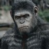 Фото профиля 🐵 Honr 🐵