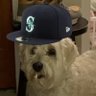 Doodles for Mariners profil fotoğrafı