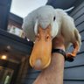 Trey Trip's profile picture