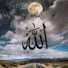 علي احمد's profile picture