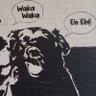 Piotr Wyraz's profile picture