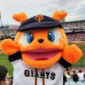ちーちゃん@関西G党6/1バンテリン's profile picture