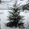Фото профиля Olga@Volga