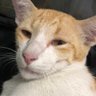จ้มจ้ม's profile picture
