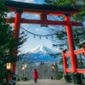 シオンですよー profil fotoğrafı