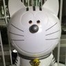 しまうま 的头像