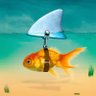 Profilbild von ZIRP360