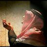 مرشد البرعي's profile picture