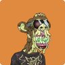 Фото профиля Chiribos 🦍