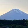 てーる坊主's profile picture