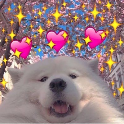 wwwy ♡'s profile picture